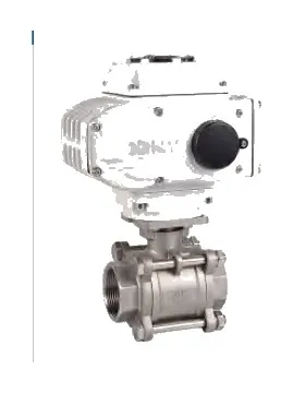 Electric Valve