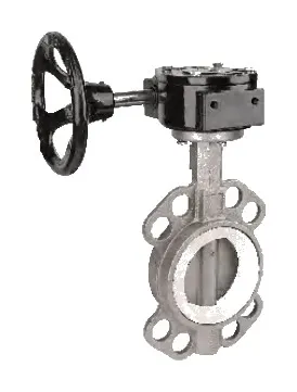 Worm Full Stainless Steel Butterfly Valve