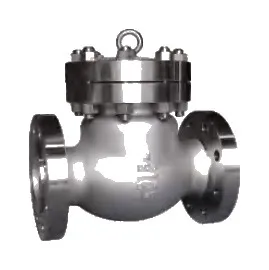 Swing Check Valve