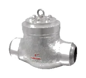 Power Station Check Valve