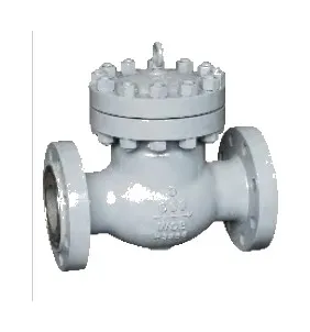 Swing Check Valves