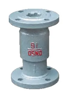 Lie Down and Made the Check Valve