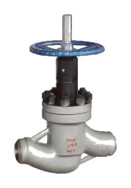 Balanced Multipurpose Globe Valve