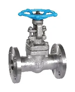 Forged Steel Gate Valve