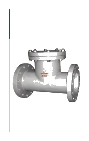 Flange Connection Is, Reflexed Streaming T Strainer